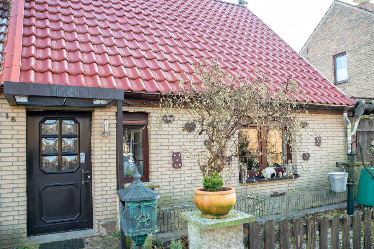 Ferienhaus Am Reiterhof Templin Buitenkant foto